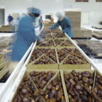Dates of Jordan Production Facility