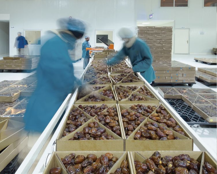 Pitted Medjool dates